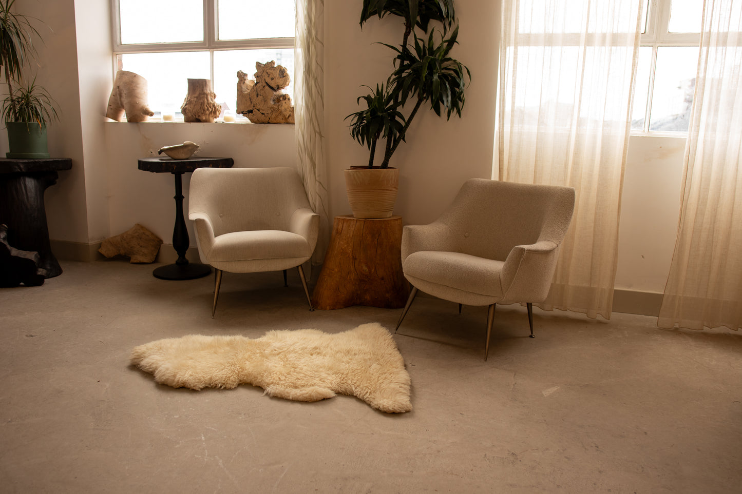 Sheepskin Rug